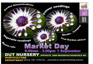 MARKET DAY FLIER 22 AUG COLOUR