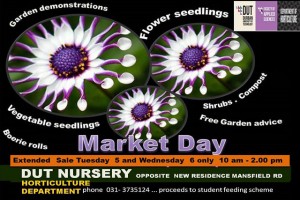 Extended MARKET-DAY-FLIER