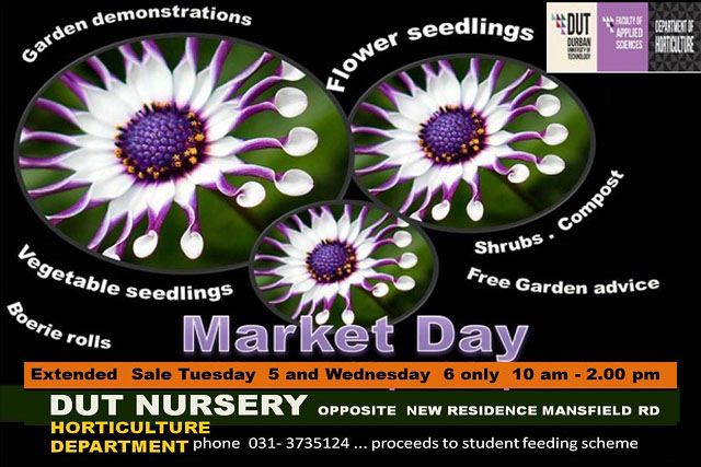 Horticulture Market Day Extension