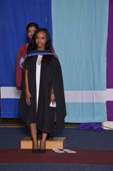 _DUT2375
