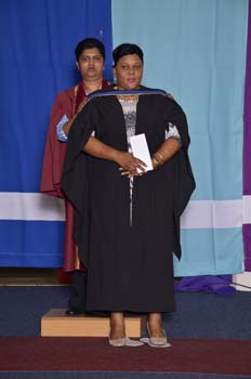 _DUT2382
