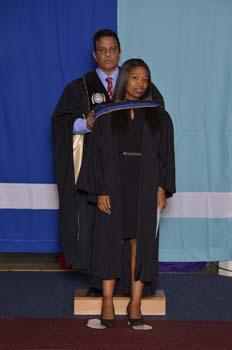 _DUT2528