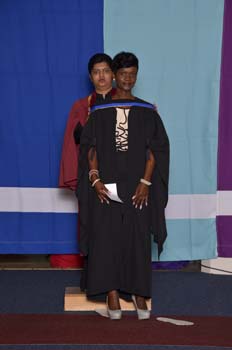 _DUT2619