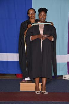 _DUT3607
