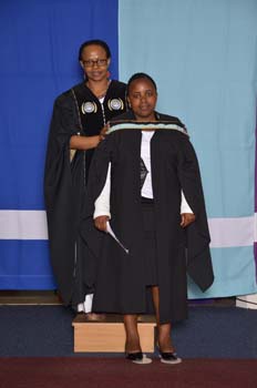 _DUT3636