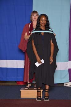 _DUT4037