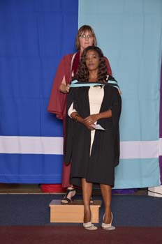 _DUT4082