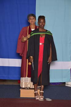 _DUT6409