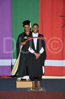 _DUT9382