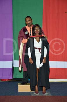 _DUT9579