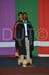 _DUT9293