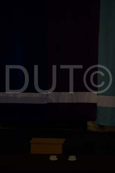 _DUT3080