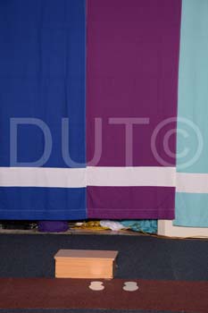 _DUT3081