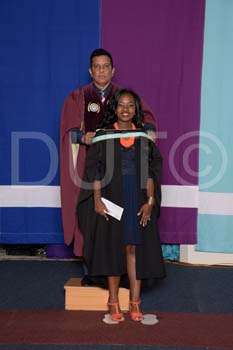 _DUT3151
