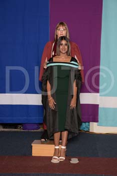 _DUT3240