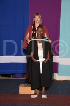_DUT3313
