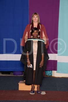 _DUT3365