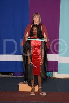 _DUT3379