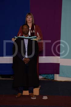 _DUT3381