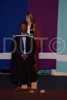 _DUT3382