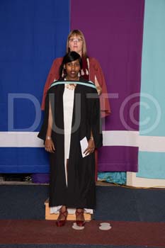 _DUT3386