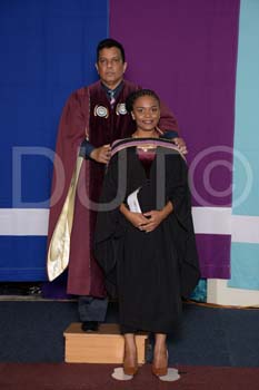 _DUT3441