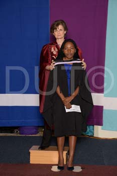 _DUT3684