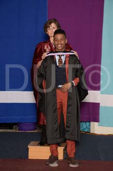_DUT3733