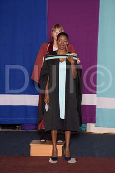 _DUT2951