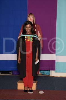 _DUT3013