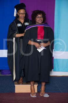 _DUT4037