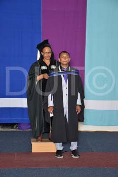 _DUT4331
