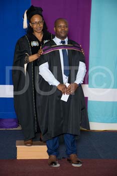 _DUT3817