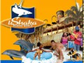 mm%20ushaka